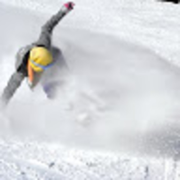 Meet your Posher, Kimberley - Picture 1 of 1